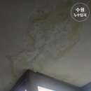 경기도 수원시 권선구 정조로513번길 24 (세류동, 양지아파트) | 아랫집 누수 피해 예방! 수원누수탐지 누수탐지 및 밸브 교체 시공 후기