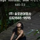 솔로몬여행사