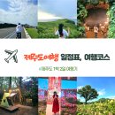 제주반디하우스 | 제주도여행 일정표, 1박 2일 여행코스 - 여행기