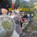 황제목욕탕 | 웰니스in충북 충주 슬로우슬로우 원데이 슬로우파머 솔직후기