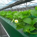 현수농장 이미지