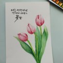 수채화도 배우고 캘리그라피도 배우고~ 수채캘리그라피 이미지