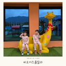 가평 키즈펜션 추천 상면 신축 바오키즈풀빌라 수영장 후기