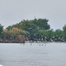 무안국제호텔 | 투어] 필리핀 맹그로브 습지 | 클락 근교 여행지 ‘사스무안 생태 투어’ 위치, 코스, 체험 내용 총정리