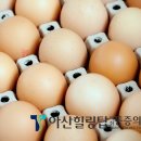 탑식품 이미지