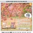 서산이벤트기획 이미지