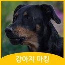 마킹 이미지