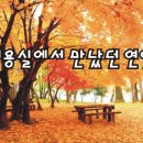 장영희미용실