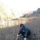 하늘아래첫농장 이미지