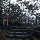 봉황산나래숲 이미지