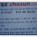몽실식당 Daum카페