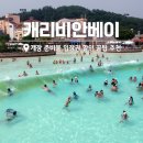 태양비닐봉투 | 캐리비안베이 "시원한 여름데이트" 개장 준비물 입장권 할인 헬로 썸머파티