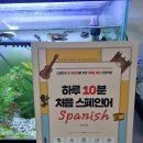 초보자를 위한 여행 스페인어 이미지