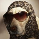 생활속의 H 이미지