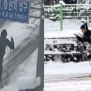 호반마을삼거리 이미지