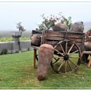 포도농장 (Winery) 이미지