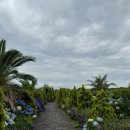 더베니스랜드 | 제주 베니스랜드, 이탈리아 감성 그대로! 인생샷 명소와 이색 체험 가득한 여행지