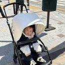 클린세탁 | 창원 대구 카시트 유모차 세탁 파파스클린 n번째 이용후기, 비용