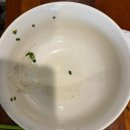 에브리데이 | [면목][everyday pho] 면목동 숨은 웨이팅 쌀국수 맛집 에브리데이 포 후기