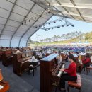 자은도에서 이미지