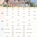 온나필라테스