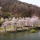 동구리 호수공원 이미지