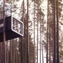 나무호텔 이미지