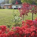 비아로45번길 이미지