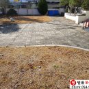 성주당구장