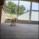오슬멍