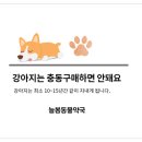 늘봄동물약국 이미지