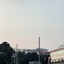 삼장주유소 네이버블로그