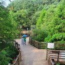 고복자연공원 수변 길 이미지