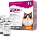 도곡 치유 동물병원 이미지