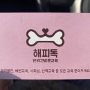 해피독반려견방문교육 이미지