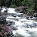 도원민박 이미지