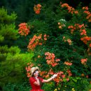 새재골가든 이미지