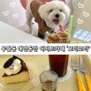 러블리펫 | 반려견과 다녀온 구월동 애견동반 디저트카페 모미코히