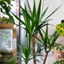 한솔동우체국 이미지