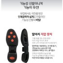 슈올즈구로