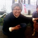 행정사법인 느티나무 이미지