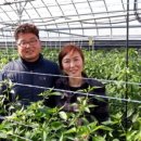 하정농장 이미지