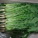 재교농장 이미지