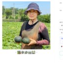 현선농장 네이버블로그