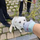 도청대로93번길 이미지