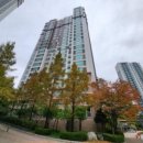 상대동6 이미지