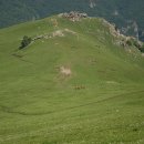 푸른전자 이미지