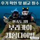 스킨스쿠버 체험 네이버블로그
