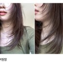 청아살롱 이미지
