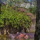 애니콜 호텔 | 2월 대만 3박4일 아이와 가족여행 날씨 맛집 추천 숙소 일정 총정리